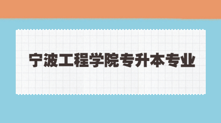寧波工程學院專升本專業